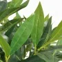 Artificial laurel tree with pot 125 cm green by , artificial flora - Ref: Foro24-244452, Price: 55,32 €, Discount: %