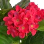 Planta artificial hortensia con macetero 60 cm roja