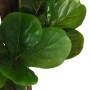 Artificial fiddle leaf fig tree 232 leaves green 180 cm by , artificial flora - Ref: Foro24-359014, Price: 109,53 €, Discount: %
