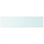 Clear glass shelf panel 100x25 cm by vidaXL, Shelves and shelves - Ref: Foro24-243845, Price: 32,74 €, Discount: %