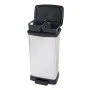 Curver Papelera de pedal doble Deco plateado 23L + 23L by , Recycling containers - Ref: Foro24-442065, Price: 79,64 €, Discou...