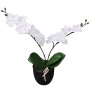 Künstliche Orchideenpflanze mit Topf 30 cm weiß von , Künstliche Flora - Ref: Foro24-244420, Preis: 15,65 €, Rabatt: %