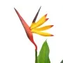 Strelitzia reginae plant, artificial bird of paradise, 66 cm. by , artificial flora - Ref: Foro24-245946, Price: 26,05 €, Dis...