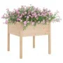 Pflanzgefäße 2 Stück aus massivem Kiefernholz 70x70x70 cm von , Töpfe und Pflanzgefäße - Ref: Foro24-810810, Preis: 98,95 €, ...