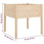 Pflanzgefäße 2 Stück aus massivem Kiefernholz 70x70x70 cm von , Töpfe und Pflanzgefäße - Ref: Foro24-810810, Preis: 98,95 €, ...