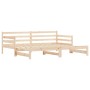 Ausziehbares Schlafsofa aus massivem Kiefernholz 80x200 cm von , Betten und Lattenroste - Ref: Foro24-836150, Preis: 188,40 €...