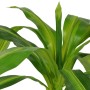 Planta de drácena artificial con maceta 100 cm verde