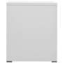 Aktenschrank aus grauem Stahl, 46 x 62 x 72,5 cm von vidaXL, Aktenschränke - Ref: Foro24-336271, Preis: 156,79 €, Rabatt: %