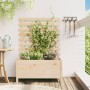 Jardinera con estantería madera maciza pino 79x39,5x114 cm de vidaXL, Maceteros y jardineras - Ref: Foro24-832521, Precio: 76...