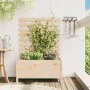 Planter with solid pine wood shelf 79x39.5x114 cm by vidaXL, Pots and planters - Ref: Foro24-832521, Price: 73,85 €, Discount: %