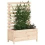 Planter with solid pine wood shelf 79x39.5x114 cm by vidaXL, Pots and planters - Ref: Foro24-832521, Price: 73,85 €, Discount: %