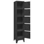 Anthrazitgrauer Stahlspind 38x40x180 cm von , Schließfächer und Lagerschränke - Ref: Foro24-339791, Preis: 159,04 €, Rabatt: %