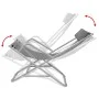 Liegestühle 2 Einheiten aus grauem Stahl von vidaXL, Liegen - Ref: Foro24-42938, Preis: 149,50 €, Rabatt: %