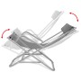 Liegestühle 2 Einheiten aus grauem Stahl von vidaXL, Liegen - Ref: Foro24-42938, Preis: 163,27 €, Rabatt: %