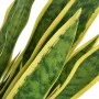 Artificial sansevieria plant with pot 65 cm green by vidaXL, artificial flora - Ref: Foro24-244428, Price: 45,73 €, Discount: %