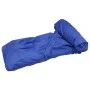 Blaue Bootsabdeckung 410x190 cm von , Aufbewahrungsabdeckungen für Boote - Ref: Foro24-93228, Preis: 42,06 €, Rabatt: %