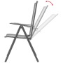 Stapelbare Gartenstühle 2 Einheiten aus grauem Stahl von vidaXL, Gartenstühle - Ref: Foro24-42716, Preis: 121,63 €, Rabatt: %