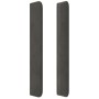 Dunkelgraues Samtkopfteil mit LED 203x16x118/128 cm von , Kopf- und Fußteile - Ref: Foro24-3124255, Preis: 108,22 €, Rabatt: %