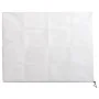 Cubierta para plantas con cremallera 70 g/m² 3,93x3 m de , Accesorios de jardinería - Ref: Foro24-364871, Precio: 30,72 €, De...