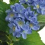 Artificial hydrangea plant with blue pot 60 cm by vidaXL, artificial flora - Ref: Foro24-244439, Price: 27,76 €, Discount: %