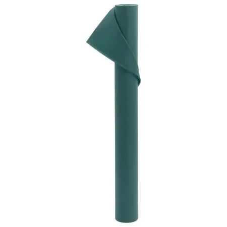 Cubierta para plantas 70 g/m² 10x1,6 m de , Accesorios de jardinería - Ref: Foro24-364861, Precio: 19,60 €, Descuento: %