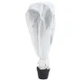 Cubierta para plantas 70 g/m² 10x1,6 m de , Accesorios de jardinería - Ref: Foro24-364857, Precio: 19,20 €, Descuento: %