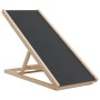 Hunderampe aus massivem grauem Tannenholz 100x40 cm von , Stufen und Rampen für Haustiere - Ref: Foro24-172417, Preis: 106,24...