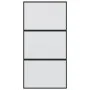 Schiebetür aus gehärtetem Glas und schwarzem Aluminium, 102,5 x 205 cm von , Türen für zu Hause - Ref: Foro24-155200, Preis: ...