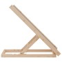 Hunderampe aus massivem grauem Tannenholz 70x35 cm von , Stufen und Rampen für Haustiere - Ref: Foro24-172418, Preis: 45,13 €...