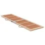 Hunderampe aus massivem Tannenholz grün 120x30 cm von , Stufen und Rampen für Haustiere - Ref: Foro24-172419, Preis: 54,39 €,...