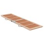 Hunderampe aus massivem Tannenholz grün 120x30 cm von , Stufen und Rampen für Haustiere - Ref: Foro24-172419, Preis: 54,16 €,...