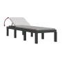 Lounger with anthracite gray PP cushions by , Loungers - Ref: Foro24-364723, Price: 159,73 €, Discount: %