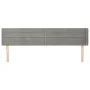Hellgraues Samtkopfteil 163x16x78/88 cm von , Kopf- und Fußteile - Ref: Foro24-3118962, Preis: 66,33 €, Rabatt: %