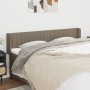 Kopfteil aus taupegrauem Stoff, 163 x 16 x 78/88 cm von , Kopf- und Fußteile - Ref: Foro24-3119016, Preis: 71,86 €, Rabatt: %