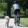 PetEgo Universal Cycleash Hunde-Fahrradleine 85 cm von PetEgo, Haustierleinen - Ref: Foro24-411436, Preis: 73,42 €, Rabatt: %