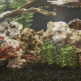 Graue Drachensteine 25 kg 10-40 cm von , Aquariumdekoration - Ref: Foro24-155306, Preis: 71,35 €, Rabatt: %