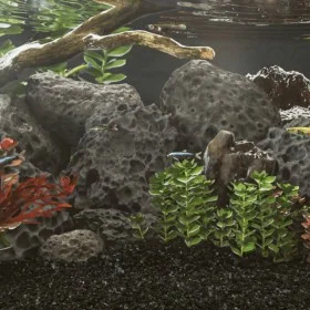 Black volcanic rocks 10 kg 10-30 cm by , Aquarium decoration - Ref: Foro24-155325, Price: 38,36 €, Discount: %