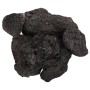 Schwarzes Vulkangestein 10 kg 10-30 cm von , Aquariumdekoration - Ref: Foro24-155325, Preis: 39,17 €, Rabatt: %