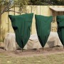 Cubiertas de Forro para Protección contra el Frío 10 pcs Verde