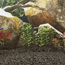 Black volcanic rocks 10 kg 1-2 cm by , Aquarium decoration - Ref: Foro24-155318, Price: 70,76 €, Discount: %