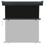 Toldo lateral de balcón negro 170x250 cm de , Sombrillas - Ref: Foro24-48436, Precio: 80,84 €, Descuento: %