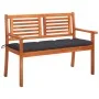 2-Sitzer-Gartenbank aus massivem Eukalyptusholz und Kissen 120 cm von , Gartenbänke - Ref: Foro24-3060984, Preis: 189,78 €, R...