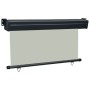 Graue Balkonseitenmarkise 140x250 cm von , Sonnenschirme - Ref: Foro24-48428, Preis: 64,19 €, Rabatt: %