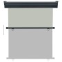 Graue Balkonseitenmarkise 140x250 cm von , Sonnenschirme - Ref: Foro24-48428, Preis: 64,19 €, Rabatt: %