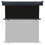 Black balcony side awning 160x250 cm by , Umbrellas - Ref: Foro24-48430, Price: 64,98 €, Discount: %