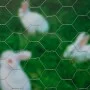 Nature Galvanized steel hexagonal wire mesh 0.5x10 m 25 mm by Nature, fence panels - Ref: Foro24-419769, Price: 23,64 €, Disc...