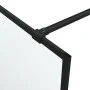 Mampara de ducha vidrio ESG esmerilado negro 90x195 cm de , Paredes y mamparas de ducha - Ref: Foro24-152111, Precio: 165,06 ...