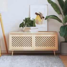 Gerahmte Schranktüren, 2 Stück, Kiefernholz, 59,5 x 39,5 cm von , Schranktüren - Ref: Foro24-372789, Preis: 45,00 €, Rabatt: %