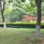 Slackline 15 m x 50 mm 150 kg Verde de vidaXL, Material para entrenar el equilibrio - Ref: Foro24-142666, Precio: 30,10 €, De...