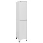 Schließfachschrank mit 2 Fächern 38x45x180 cm von vidaXL, Schließfächer und Lagerschränke - Ref: Foro24-244473, Preis: 165,09...
